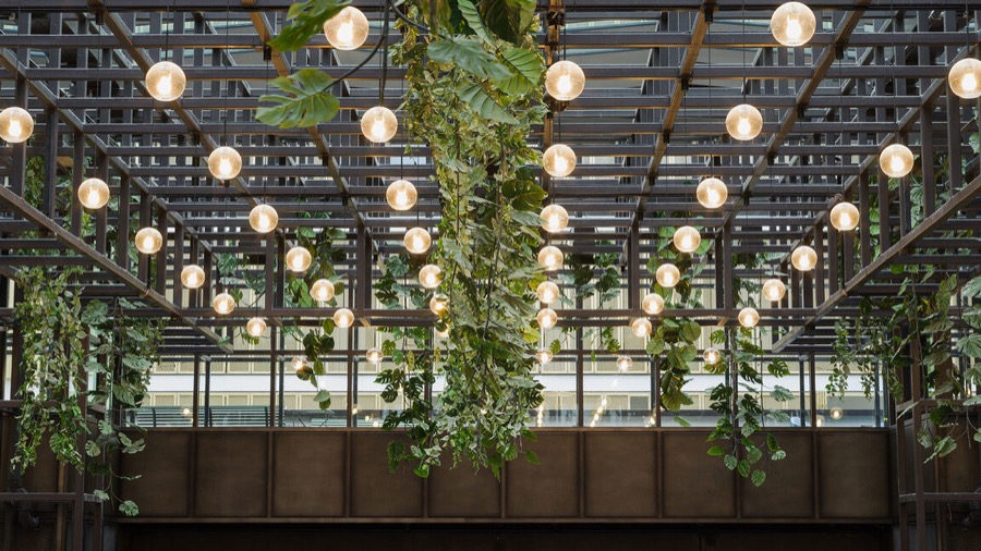 Wintergarten mit Stahldach, hängenden Pflanzen und Lichtkugeln