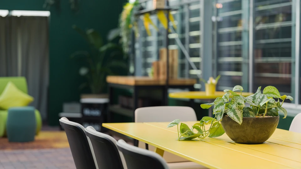 Ein gemütlicher Außenbereich mit einem gelben Tisch, schwarzen Stühlen und einer grünen Pflanze, umgeben von grüner Vegetation und modernen Gebäudestrukturen