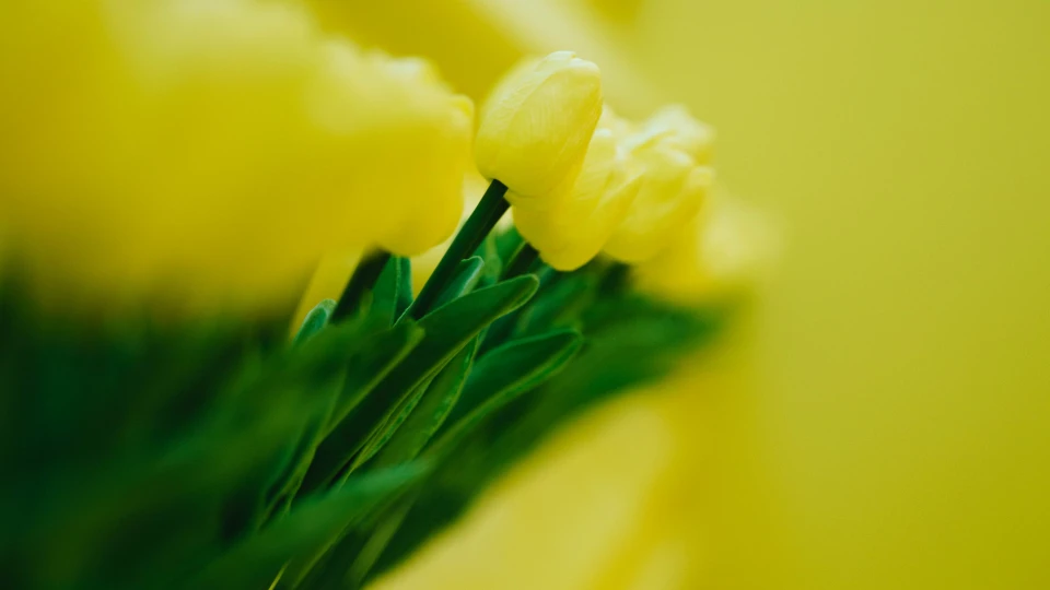 Close-up of a unique wall decoration at Smartvillage Bogenhausen: yellow tulips integrated into a textured wall relief, creating a harmonious blend of design and nature.