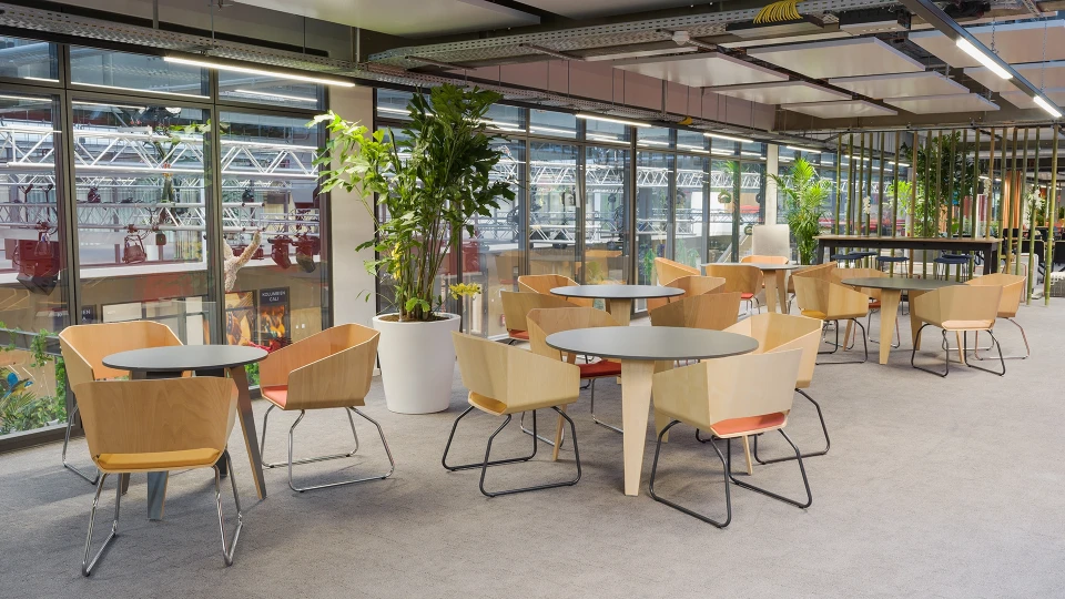 Gemütlicher Essbereich mit runden Tischen und modernen Holzstühlen, umgeben von großen Fensterfronten und zahlreichen Pflanzen.