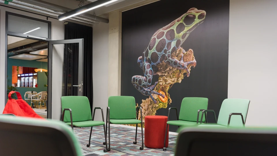 Kreative Stuhlkreis-Anordnung mit grünen Stühlen, Sitzhockern und Sitzsäcken im Raum „Lima“, im Hintergrund eine offene Fensterfront.