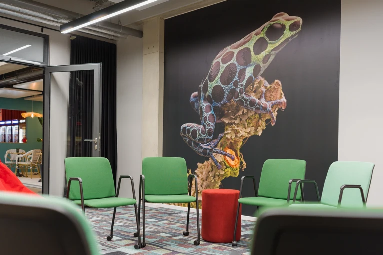 Creative circular seating arrangement with green chairs, stools, and beanbags in the 'Lima' room, with an open window front in the background.