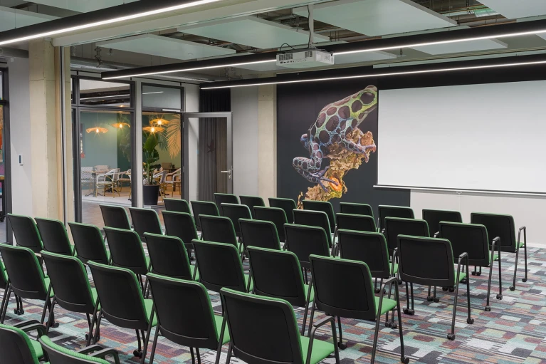 Exterior view of the 'Peru Lima' and 'Peru Cusco' seminar rooms with glass fronts and a wall graphic of a frog inside.