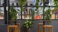High tables with bar stools in front of a planted glass wall in a smart cafe