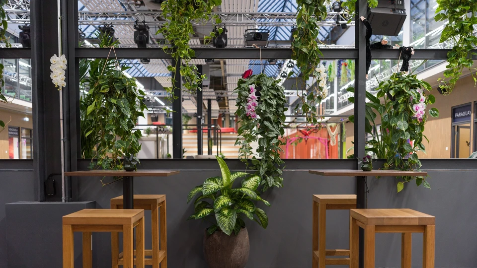 High tables with bar stools in front of a planted glass wall in a smart cafe