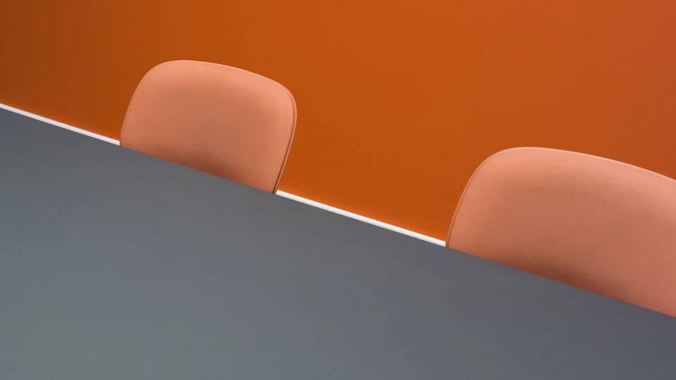 Close-up of a brightly colored frog wall graphic in the 'Suriname' meeting room.