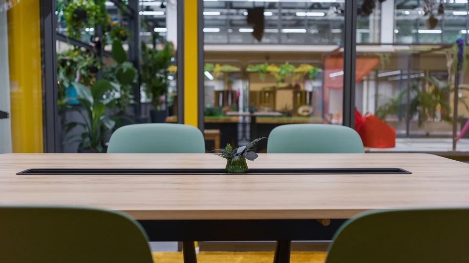 Interior view of the yellow Uruguay room with toucan wall motif and an open door leading to the atrium in smartvillage Cologne-Muelheim.