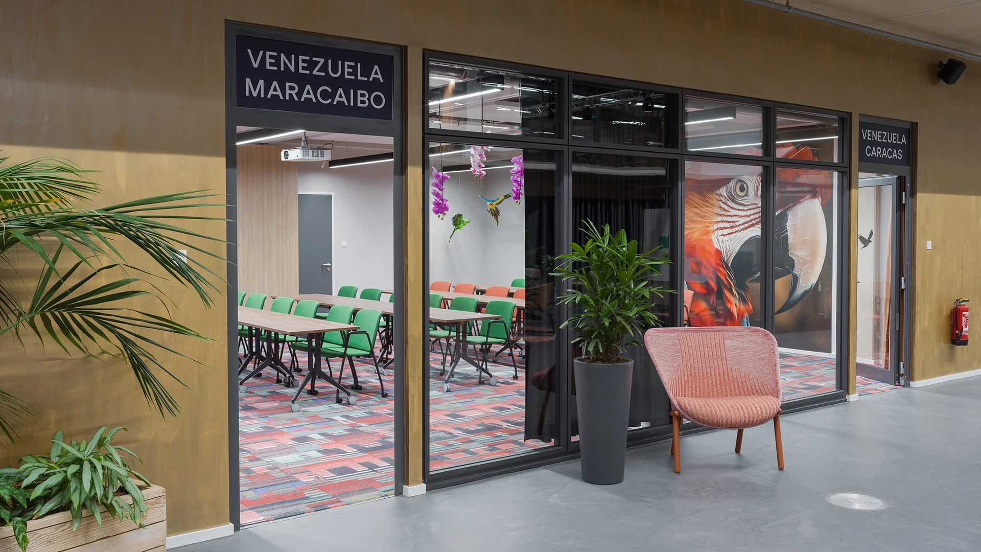 Moderne Büroeingangstür mit der Beschriftung 'Venezuela Maracaibo', dekoriert mit Pflanzen und stilvollen Möbeln. Ein großes Wandbild eines Fisches ziert die innere Wand.
