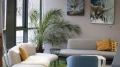 A cozy seating area with gray sofas, yellow cushions, a large indoor plant, and colorful Alpine-themed wall art - ideal for relaxed conversations or creative breaks.